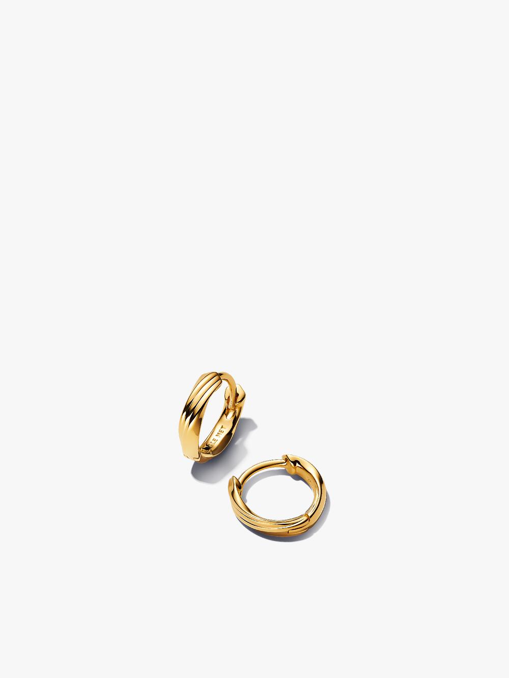 Organically V-shaped Open Hoop Earrings